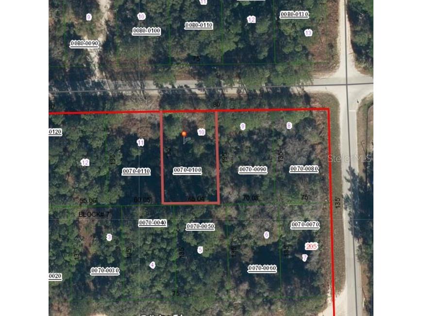 505 Hickory Nut Trail Satsuma FL 32189 OM719139 image5