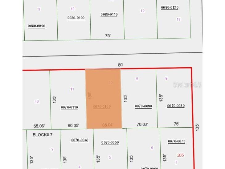 505 Hickory Nut Trail Satsuma FL 32189 OM719139 image6