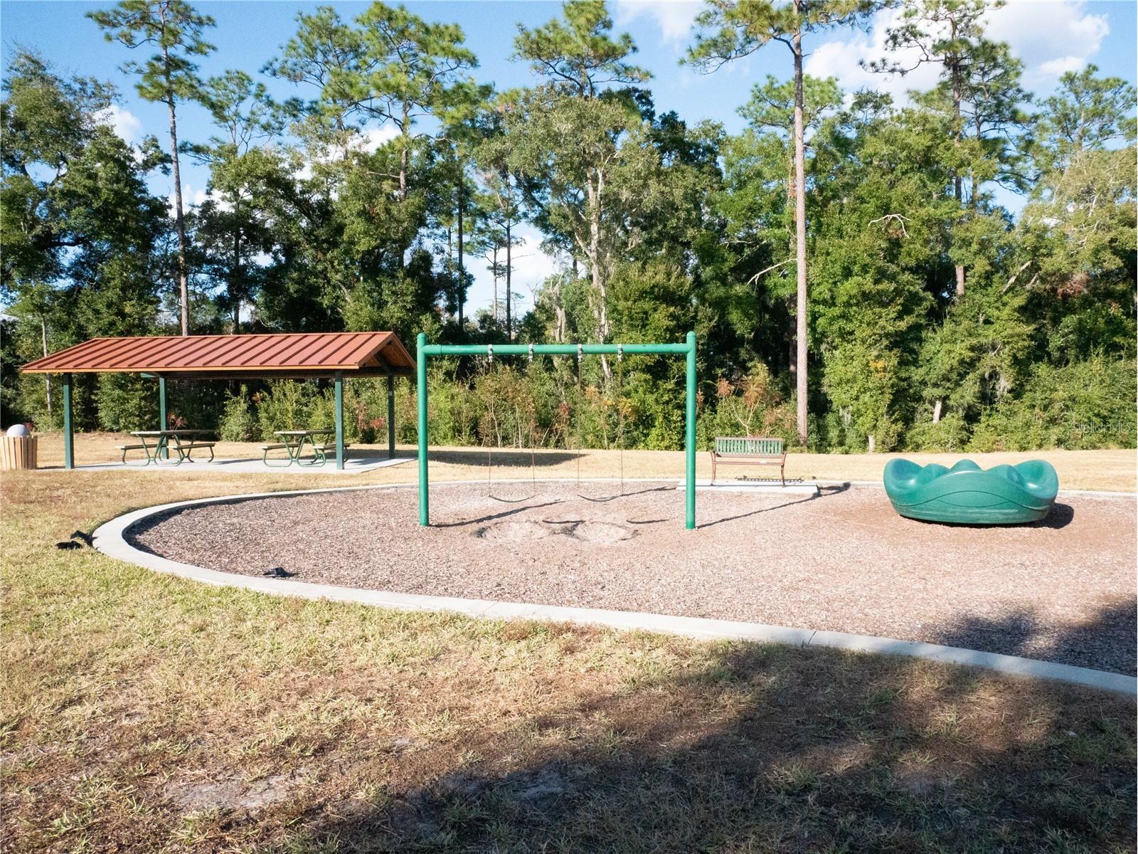 505 Lady Irelyn Court Deland FL 32724 TB8511981 image45