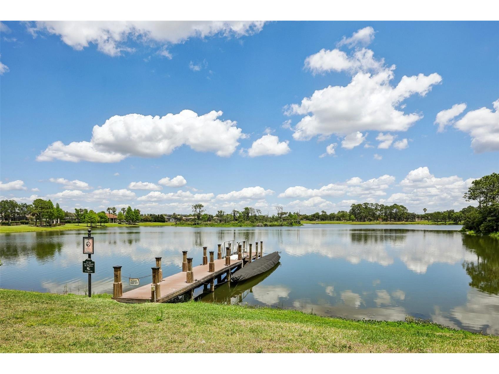 505 Millifiora Lane Kissimmee FL 34759 P4939099 image27