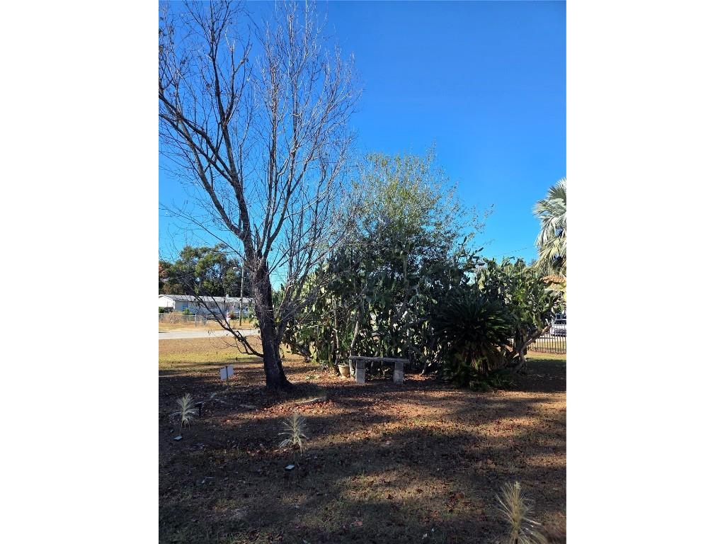 505 Murcott Place Valrico FL 33594 TB8453122 image3