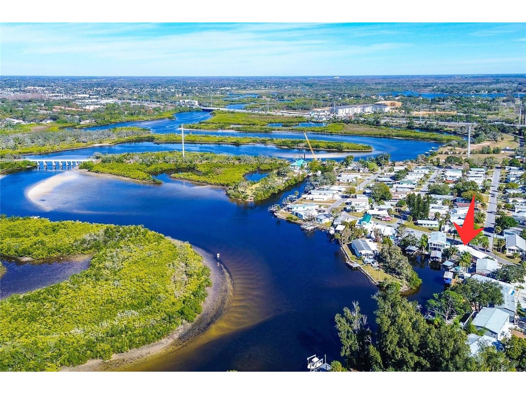 505 Riverview Lane Tarpon Springs FL 34689 TB8466959 image5