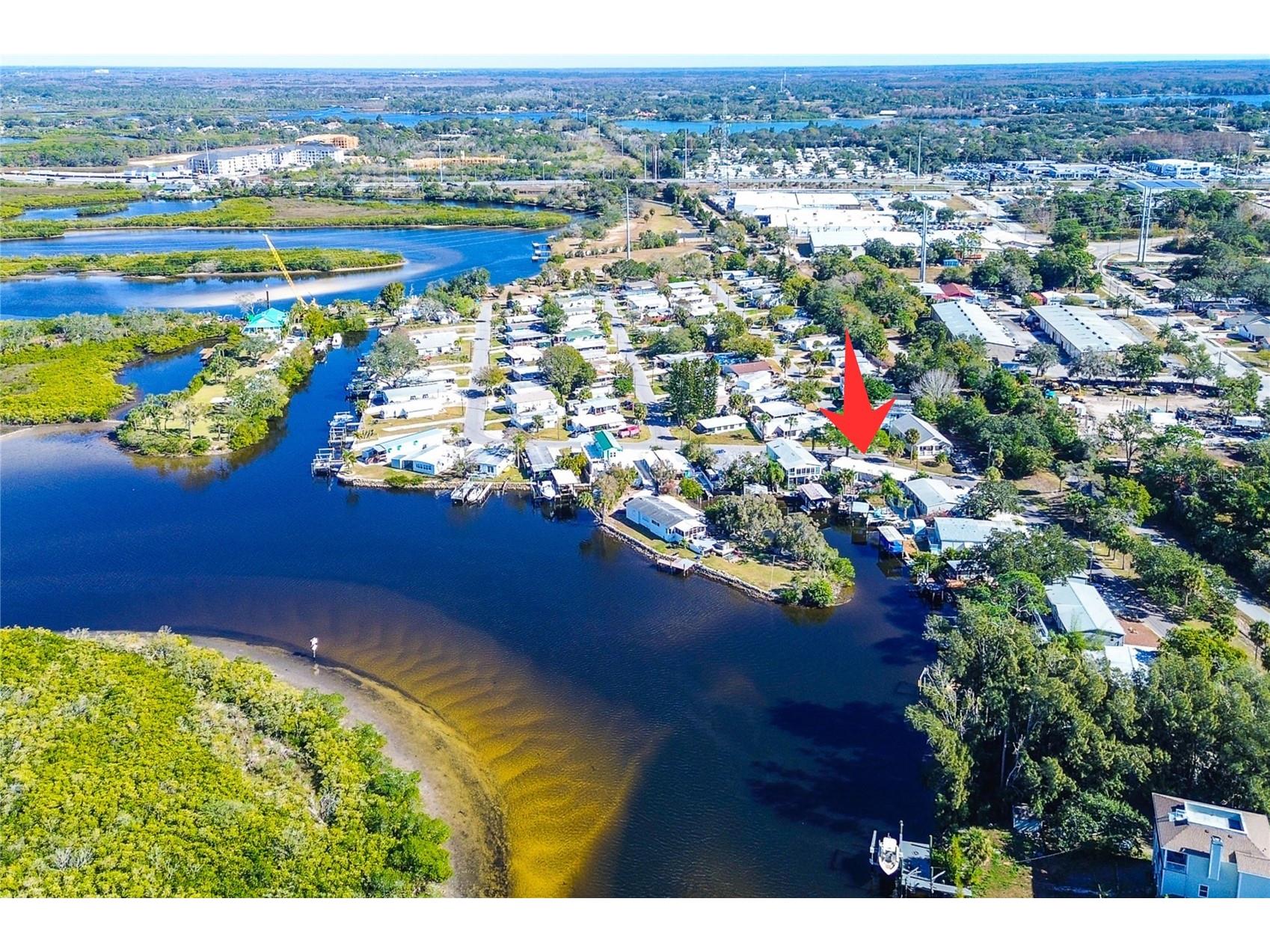 505 Riverview Lane Tarpon Springs FL 34689 TB8466959 image6