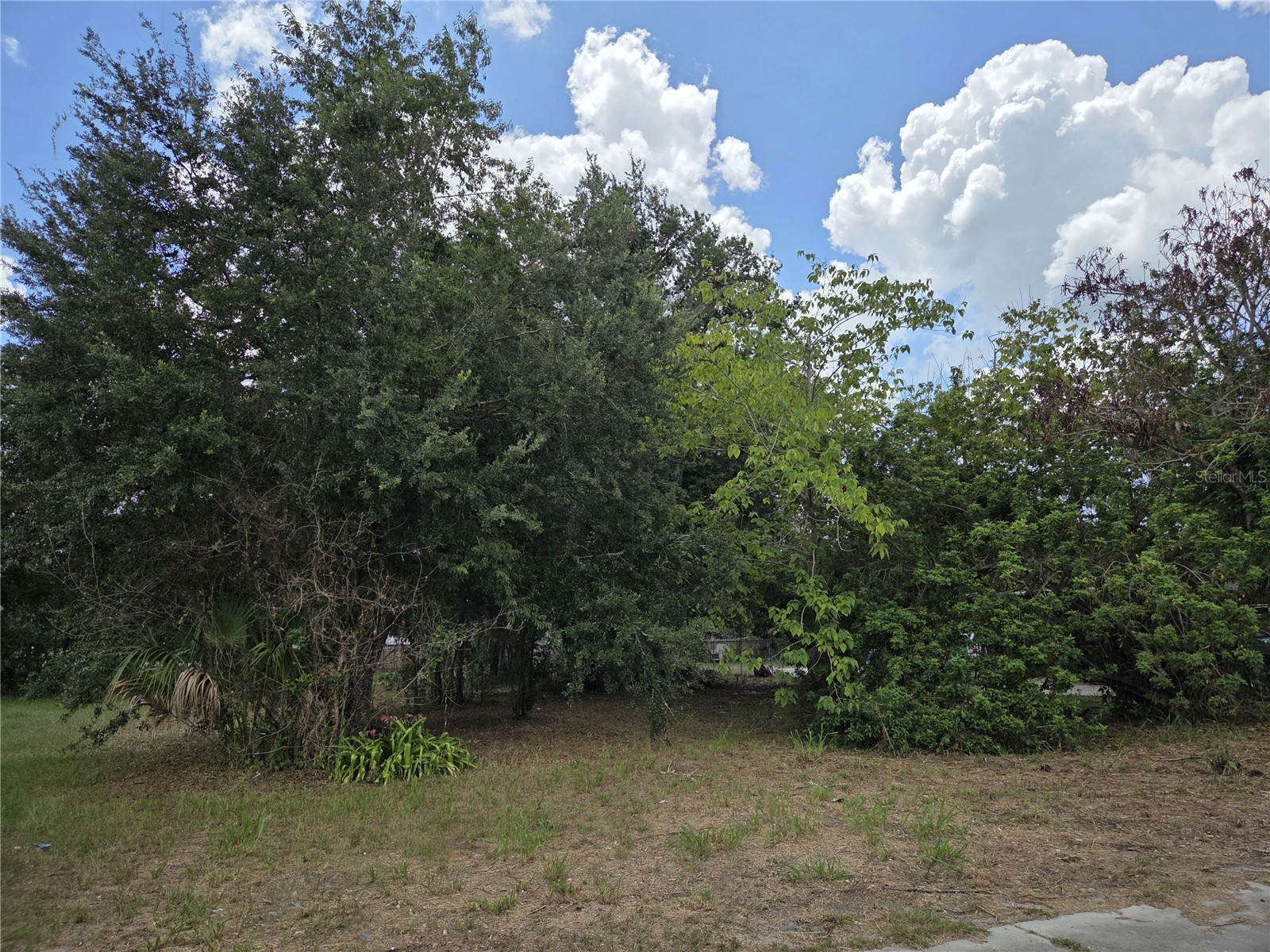 505 S Lanier Ave Fort Meade FL 33841 P4935613 image2