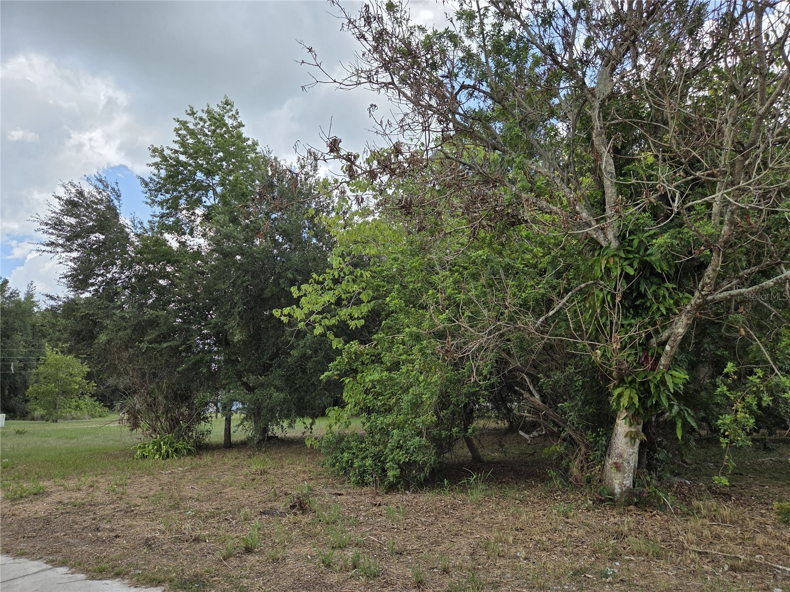 505 S Lanier Ave Fort Meade FL 33841 P4935613 image3