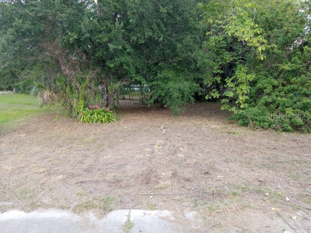 505 S Lanier Ave Fort Meade FL 33841 P4935613 image4