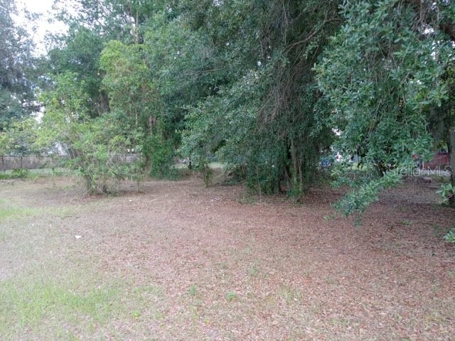 505 S Lanier Ave Fort Meade FL 33841 P4935613 image5