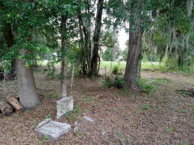 505 S Lanier Ave Fort Meade FL 33841 P4935613 image6