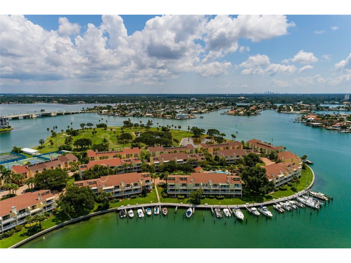 505 Sandy Hook Road #505 Treasure Island FL 33706 TB8396189 image71