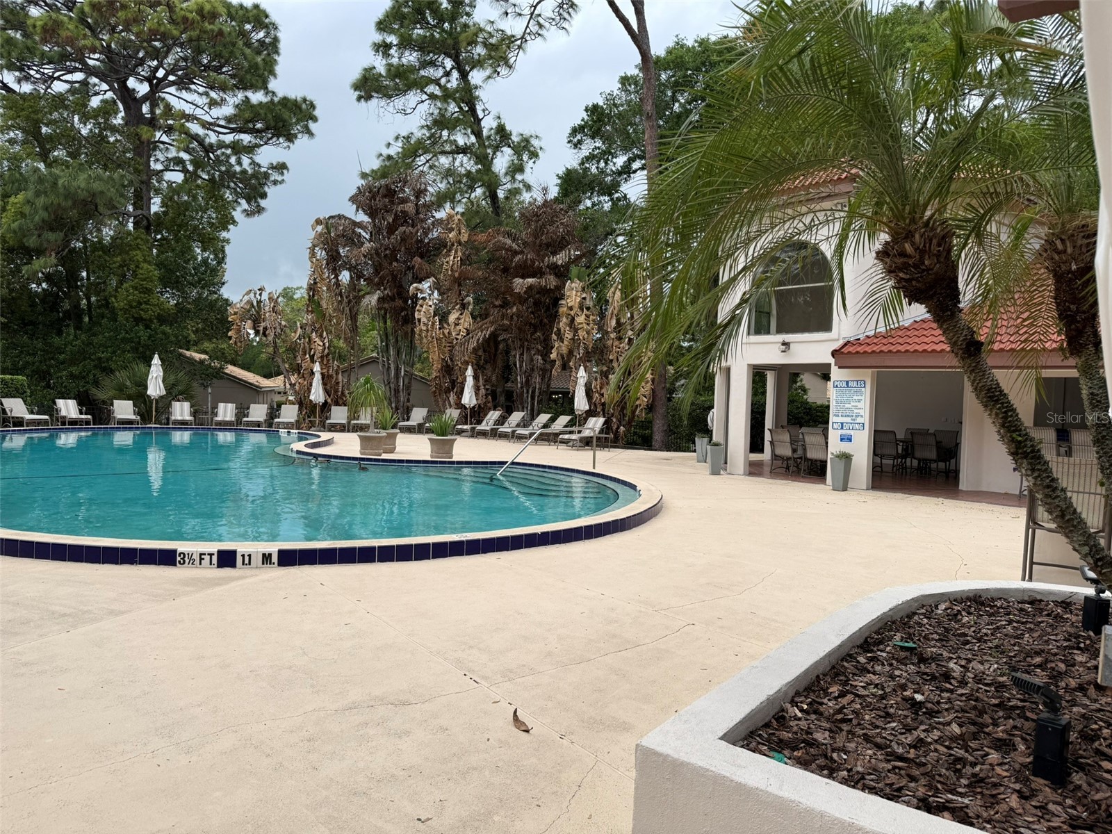 505 Via Del Oro Drive #201 Altamonte Springs FL 32714 O6400428 image28