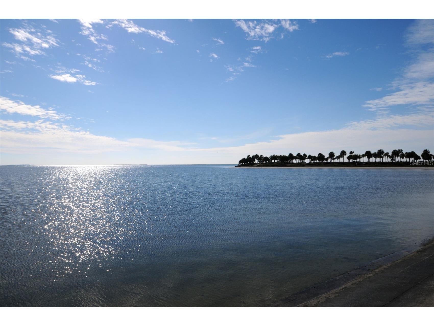 505 Whispering Oak Drive Tarpon Springs FL 34689 TB8404265 image54