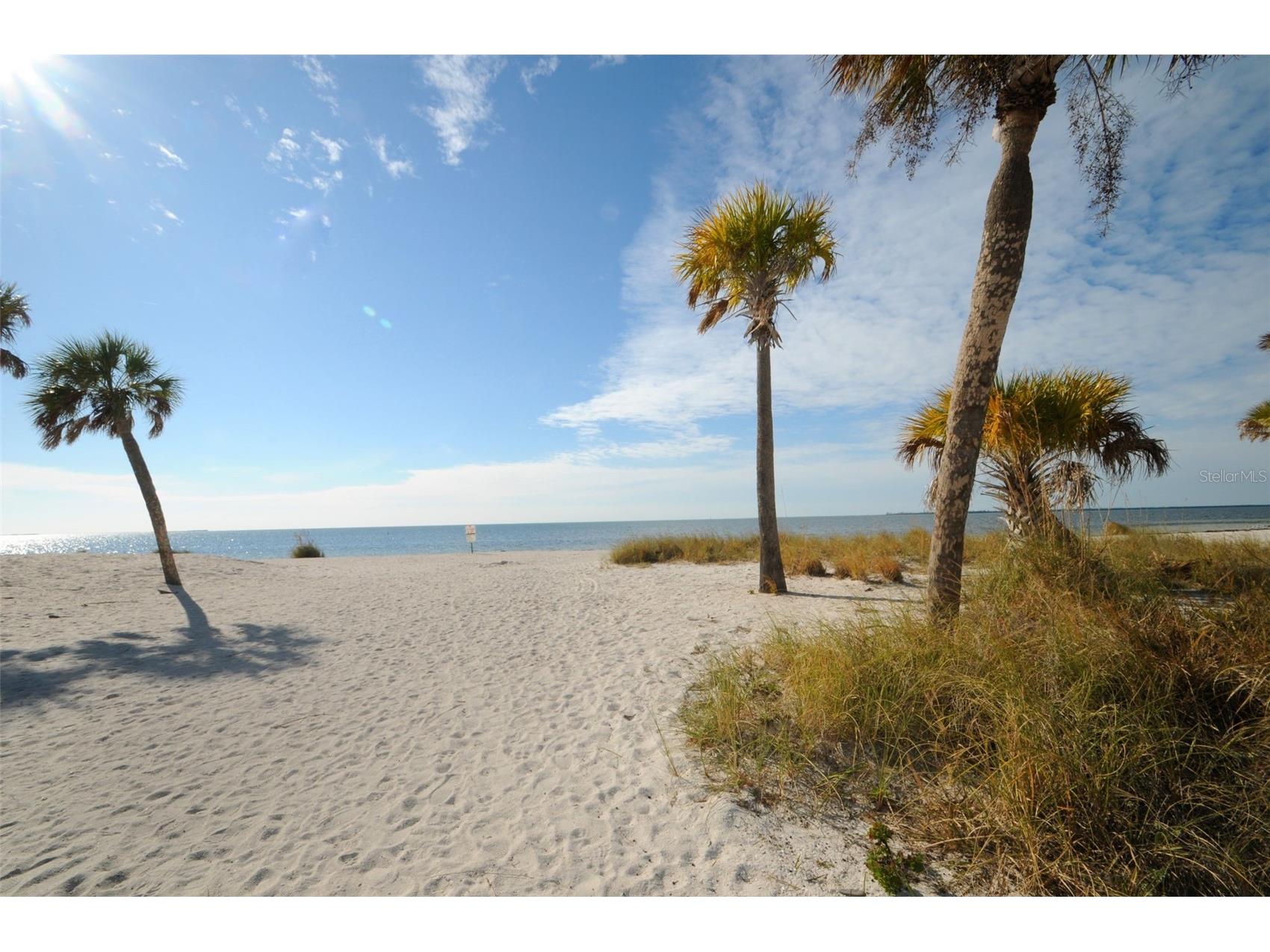 505 Whispering Oak Drive Tarpon Springs FL 34689 TB8404265 image55