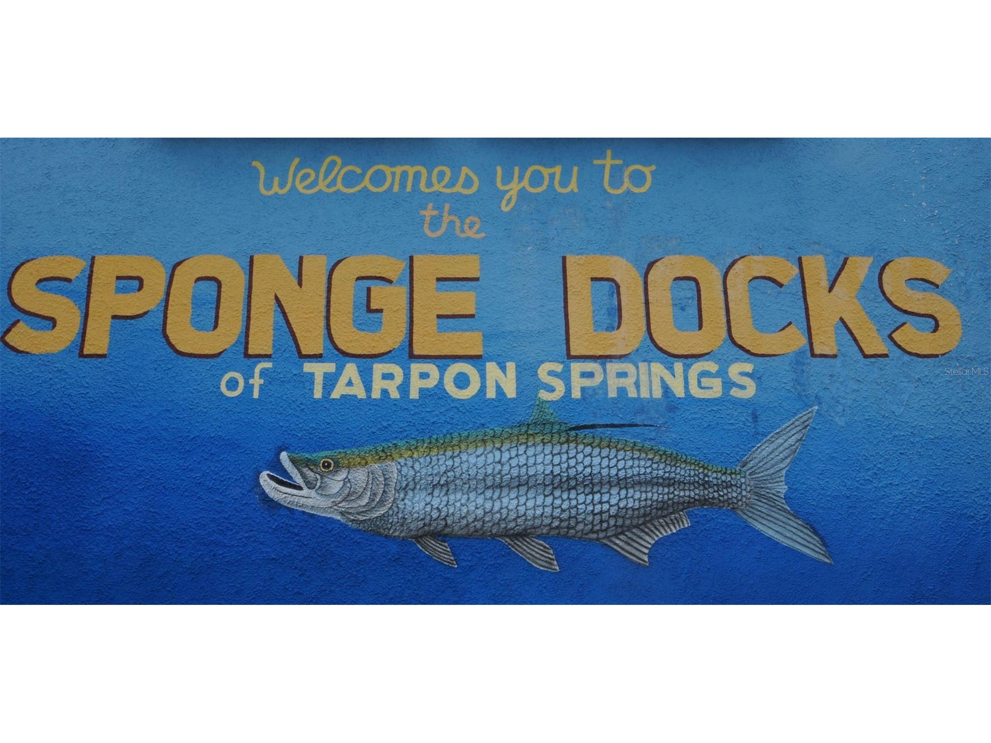 505 Whispering Oak Drive Tarpon Springs FL 34689 TB8404265 image64