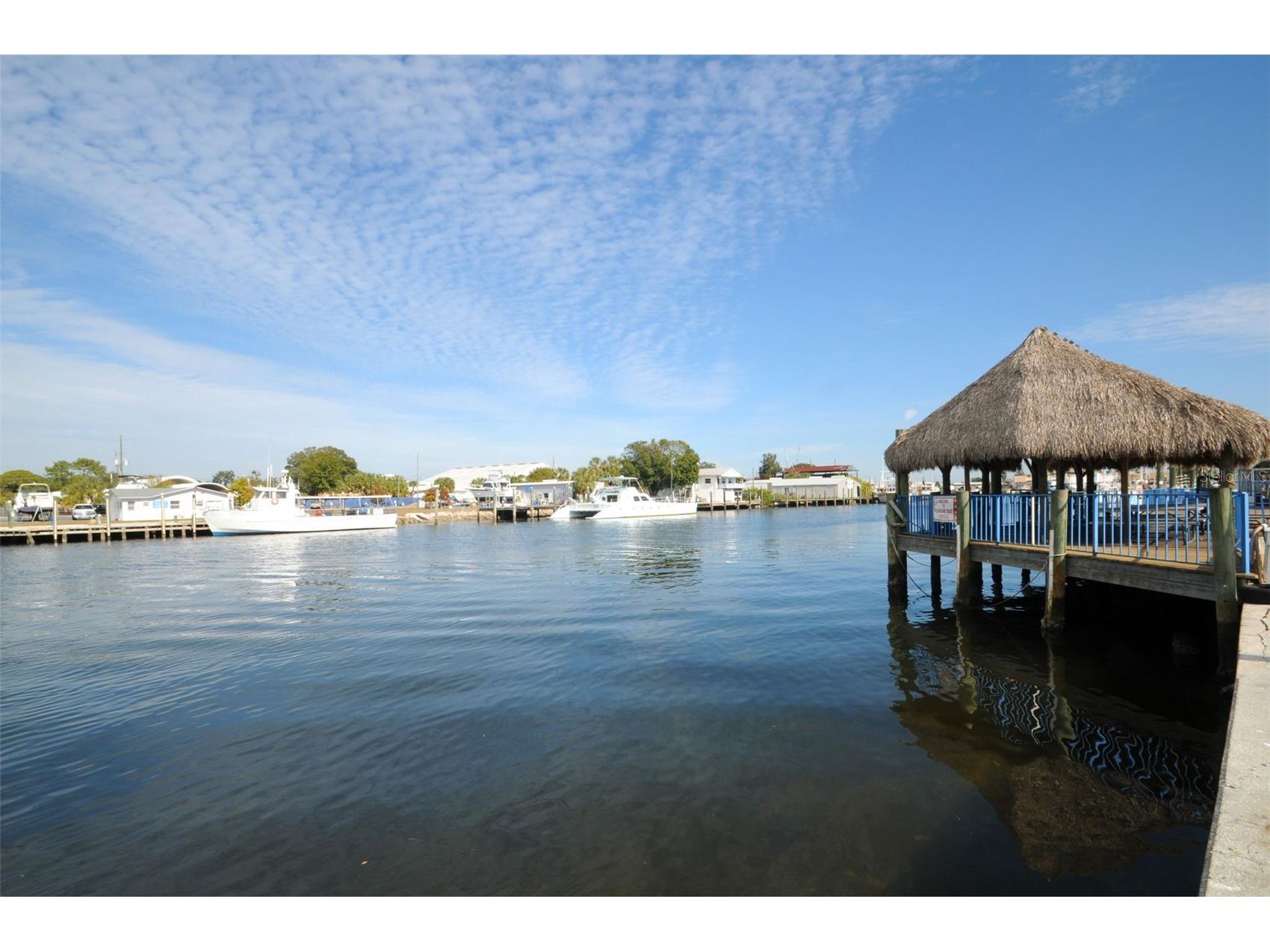 505 Whispering Oak Drive Tarpon Springs FL 34689 TB8404265 image65