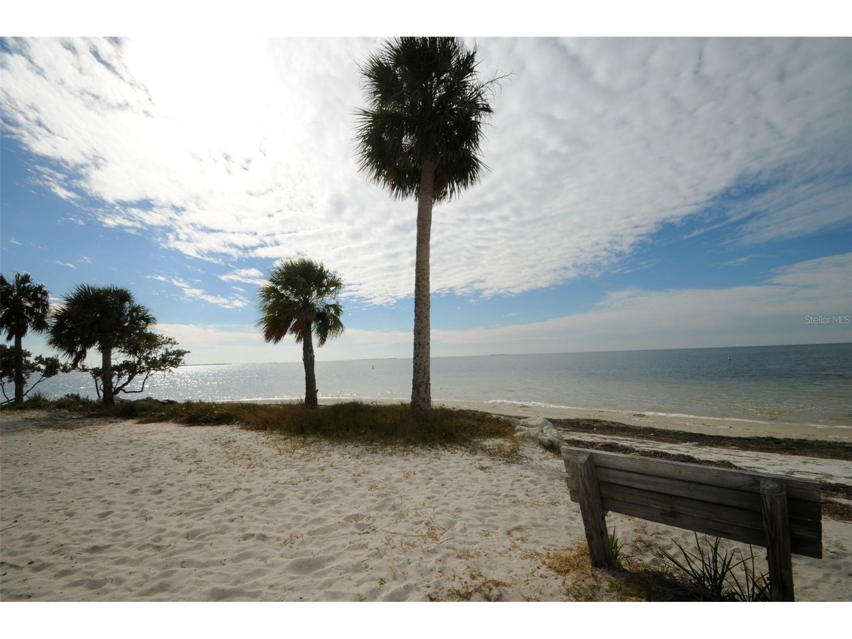 505 Whispering Oak Drive Tarpon Springs FL 34689 TB8404265 image81