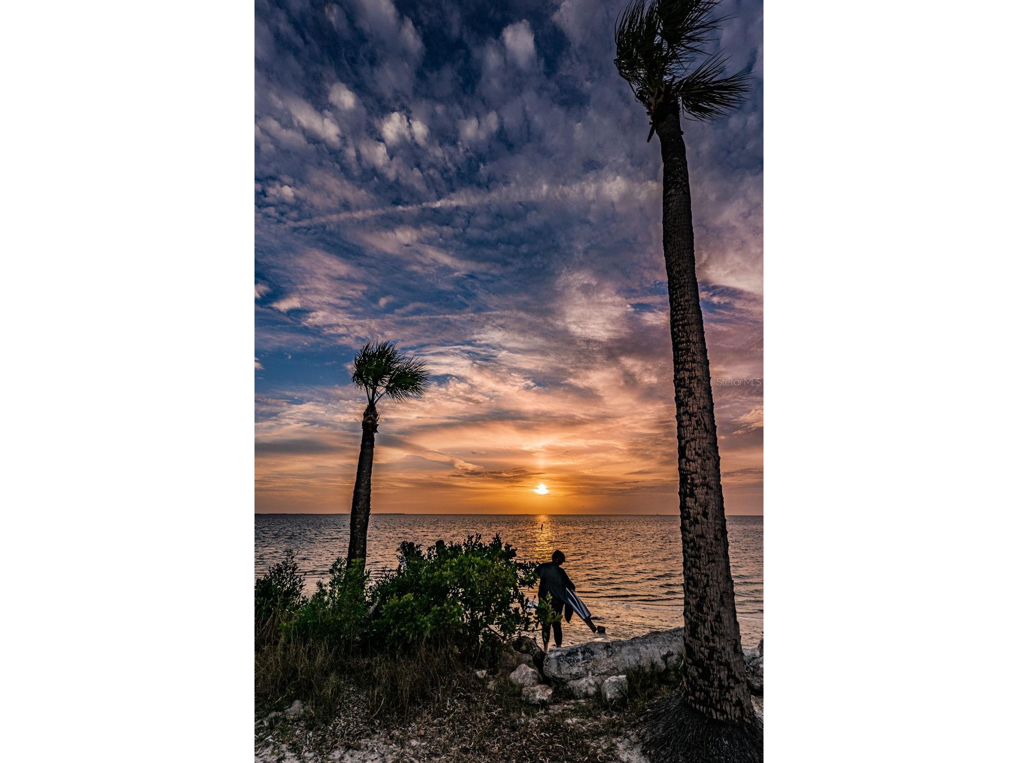 505 Whispering Oak Drive Tarpon Springs FL 34689 TB8404265 image85