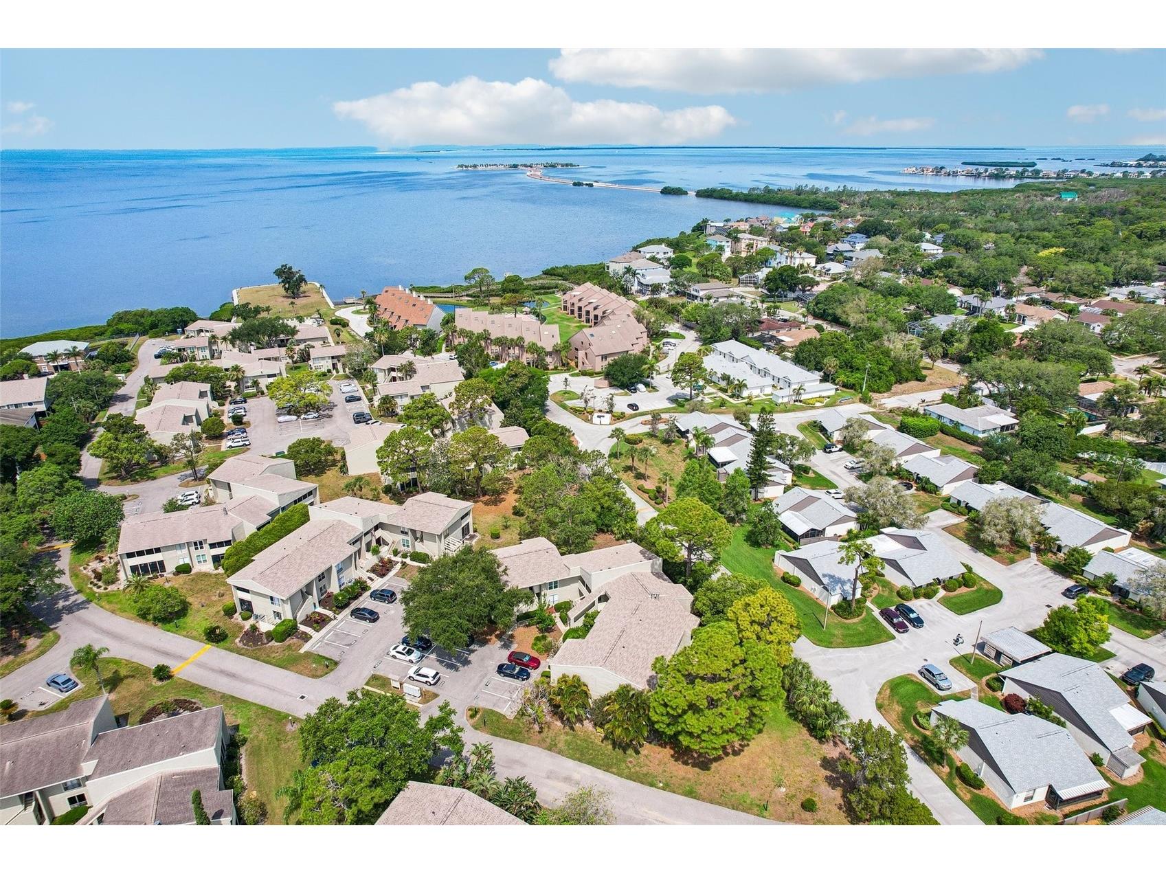 505 Windrush Bay Drive Tarpon Springs FL 34689 TB8507167 image43