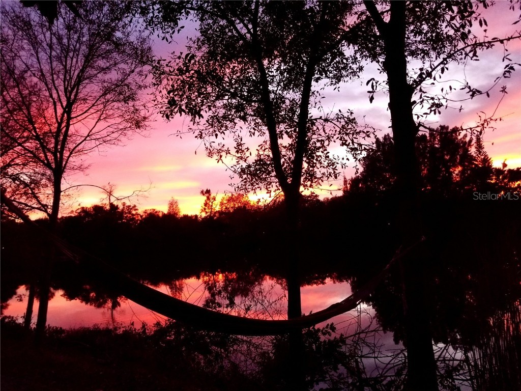 5050 68th Way N Saint Petersburg FL 33709 TB8366718 image24