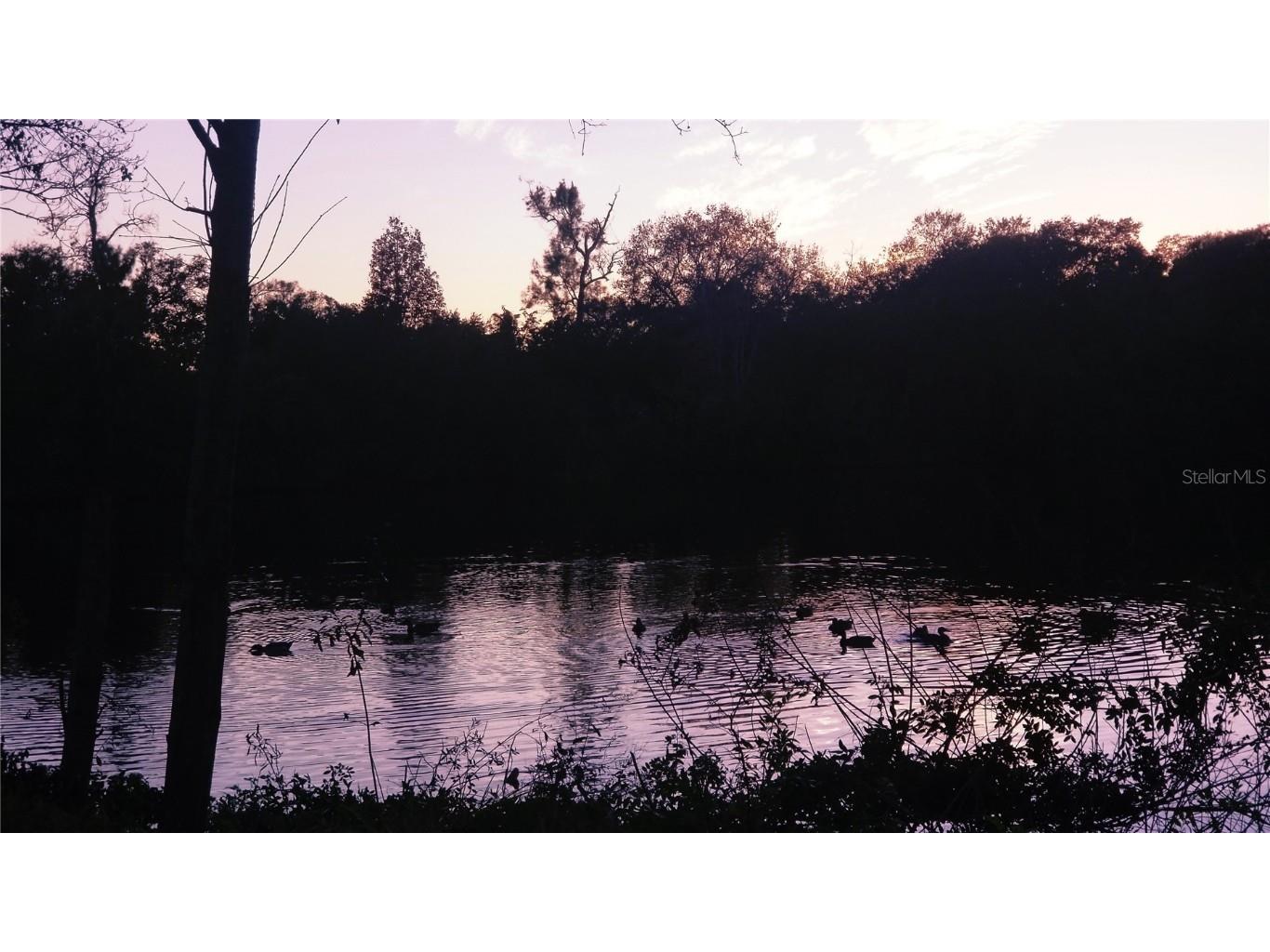 5050 68th Way N Saint Petersburg FL 33709 TB8366718 image25