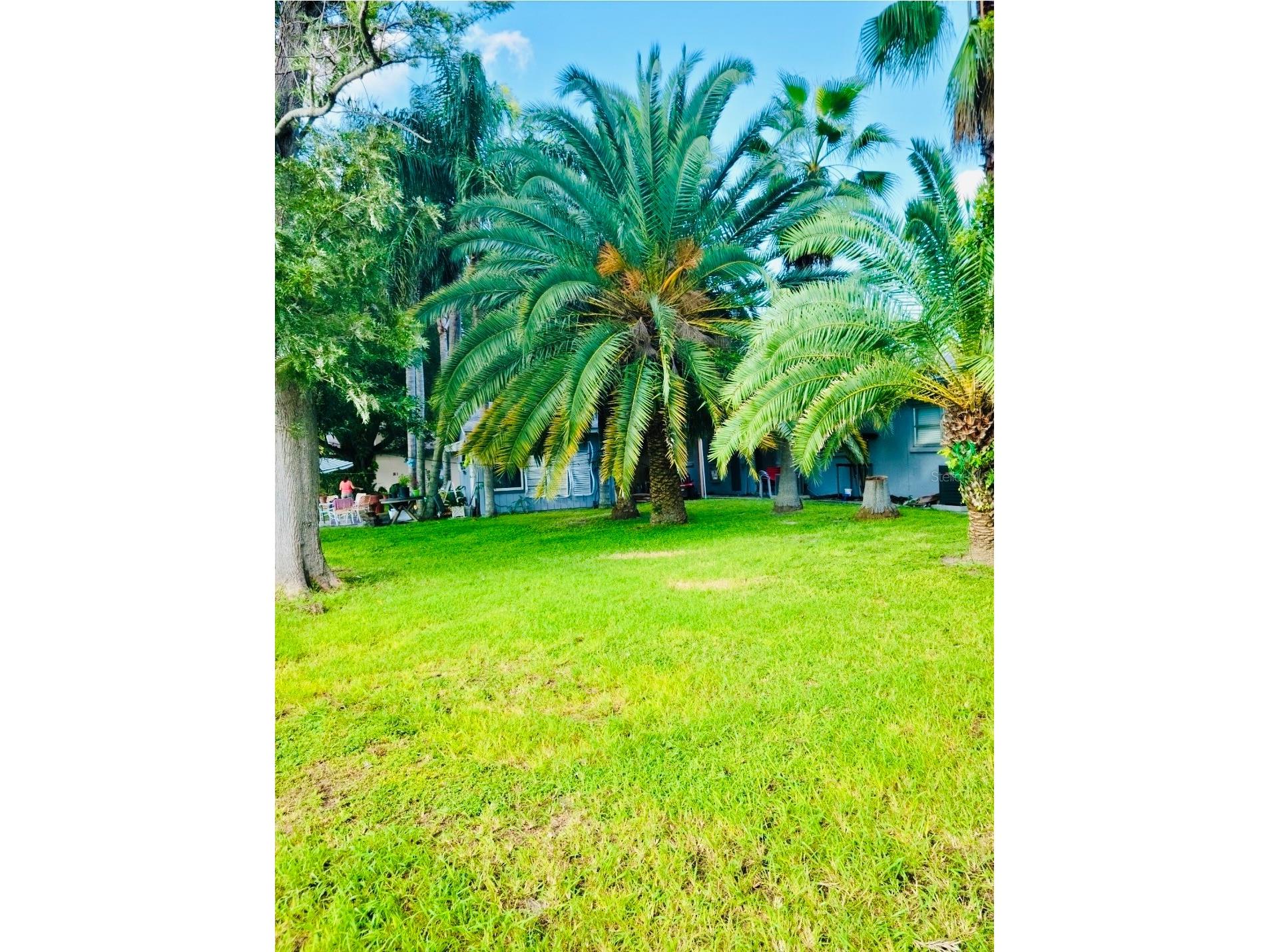 5050 74th Street N #1 Saint Petersburg FL 33709 TB8303107 image19