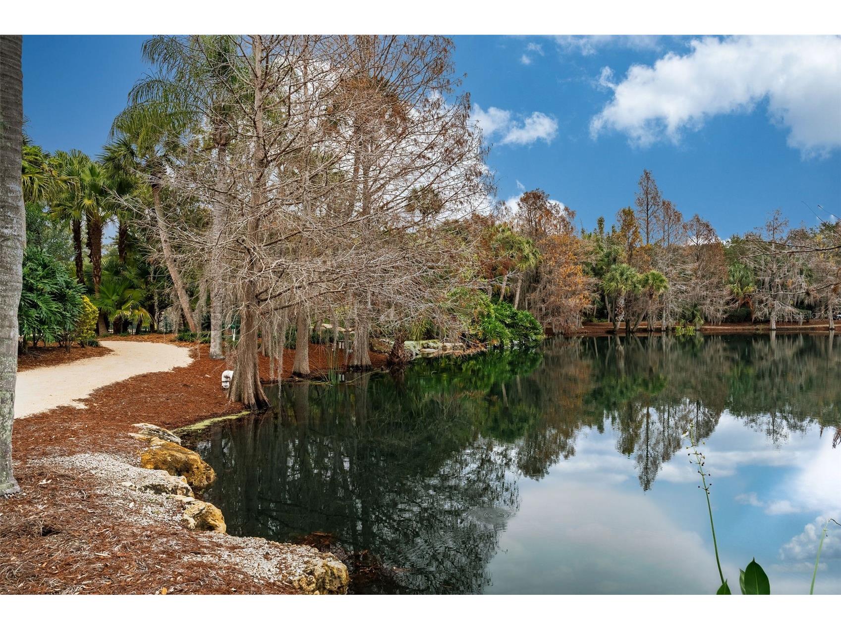 5050 Isleworth Country Club Drive Windermere FL 34786 O6372348 image39