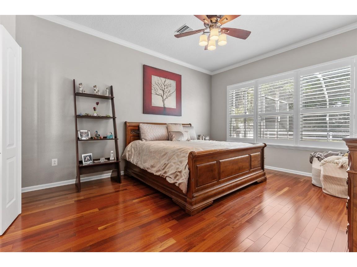 5050 Rushbrook Road Land O Lakes FL 34638 TB8445358 image37