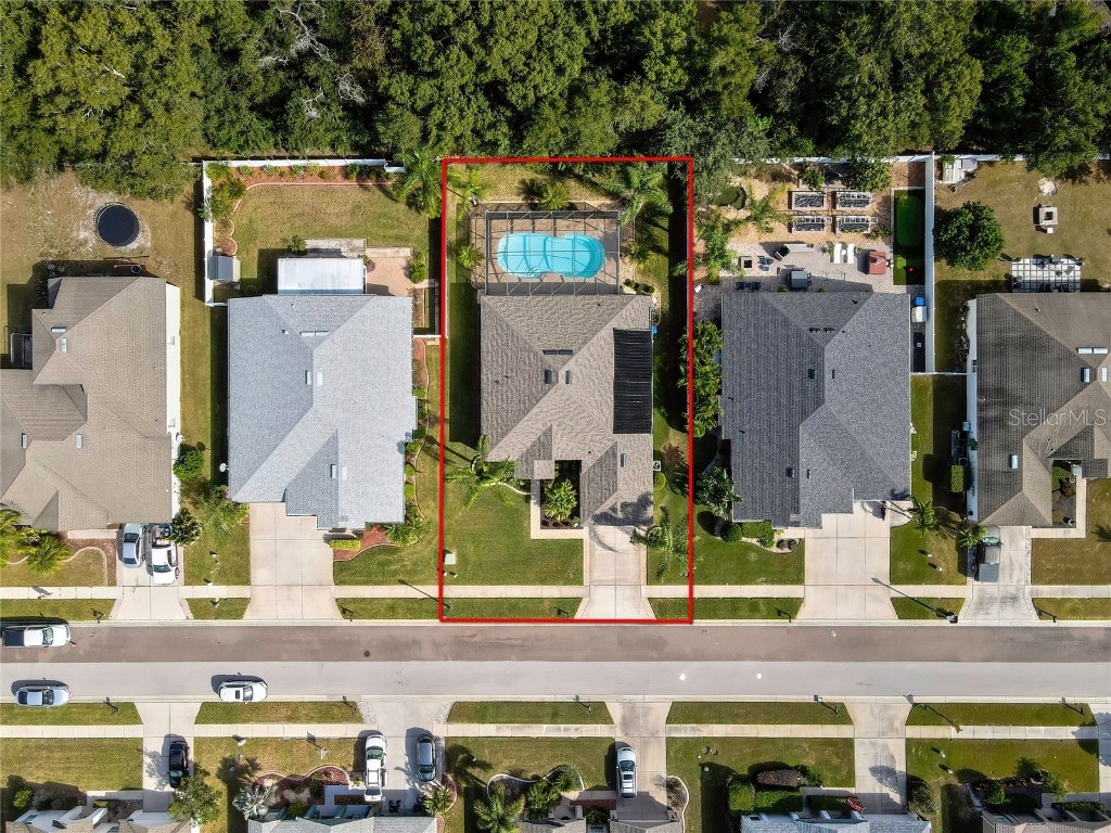 5050 Rushbrook Road Land O Lakes FL 34638 TB8445358 image4