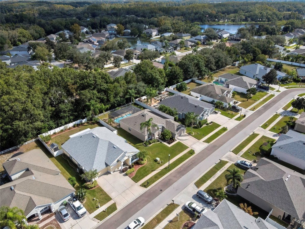 5050 Rushbrook Road Land O Lakes FL 34638 TB8445358 image59