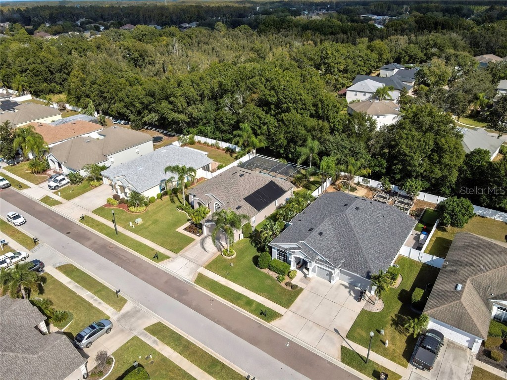 5050 Rushbrook Road Land O Lakes FL 34638 TB8445358 image60