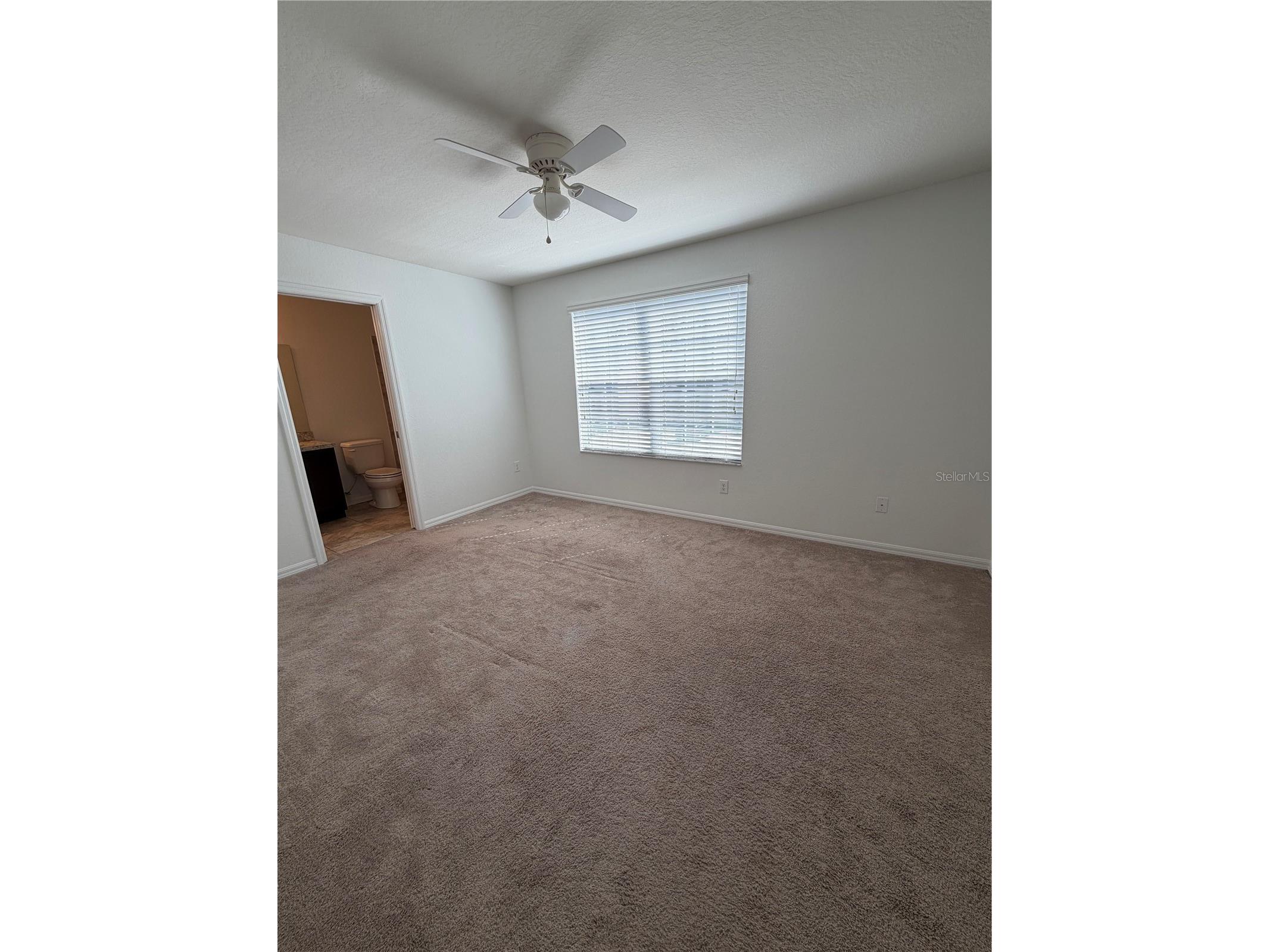 5051 Cactus Needle Lane Wesley Chapel FL 33544 TB8438016 image19