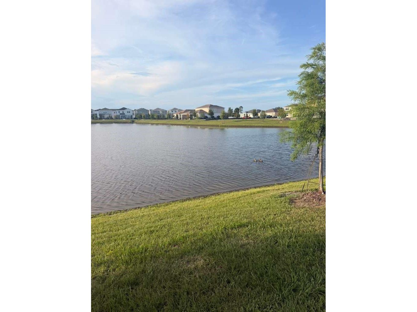5051 Starling Bird Lane Saint Cloud FL 34771 O6410190 image27