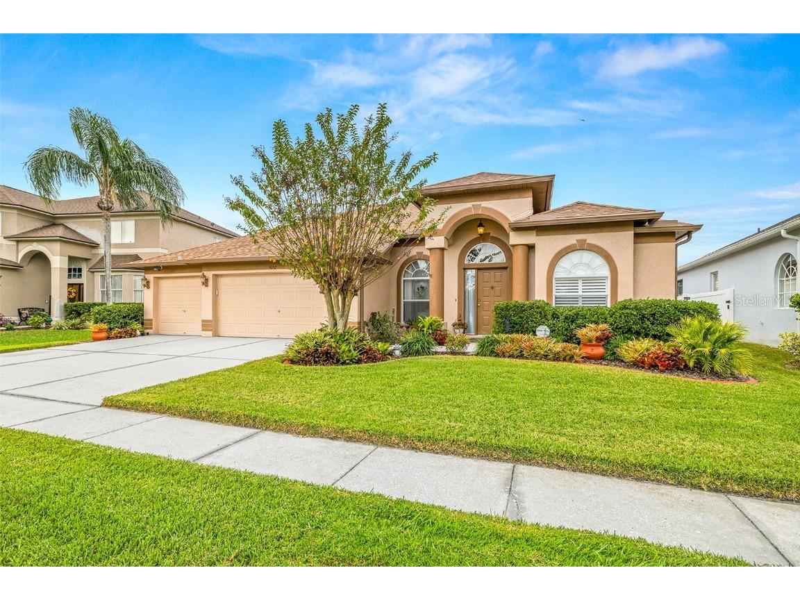 5052 Balsam Drive Land O Lakes FL 34639 T3493241 image1