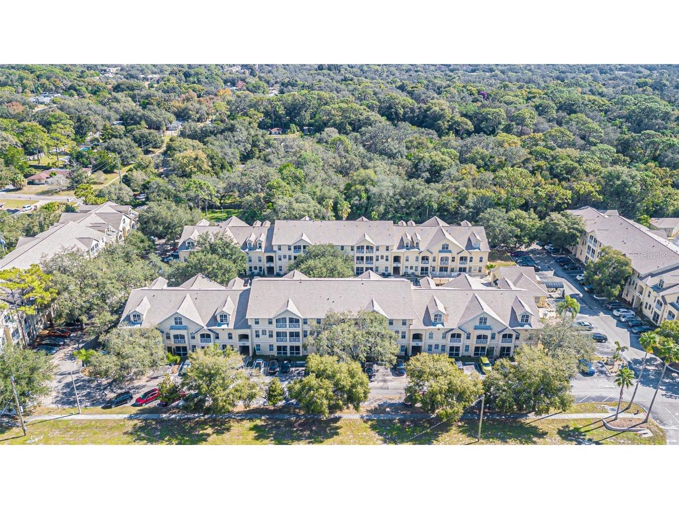 5052 Sunridge Palms Drive #204 Tampa FL 33617 T3483808 image1