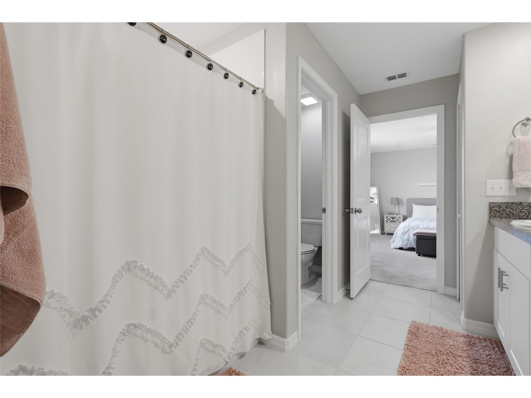 5052 White Chicory Drive Apollo Beach FL 33572 TB8512972 image21