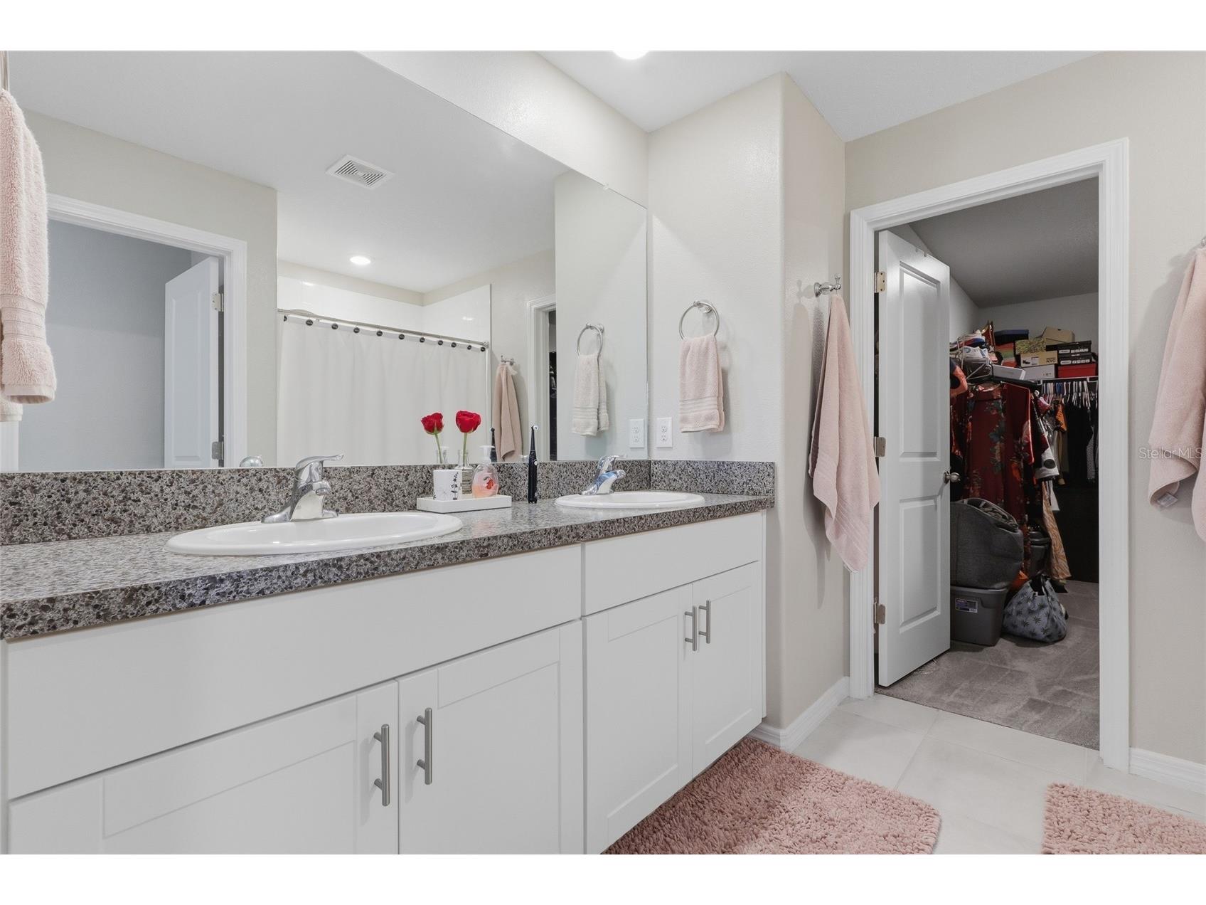 5052 White Chicory Drive Apollo Beach FL 33572 TB8512972 image22