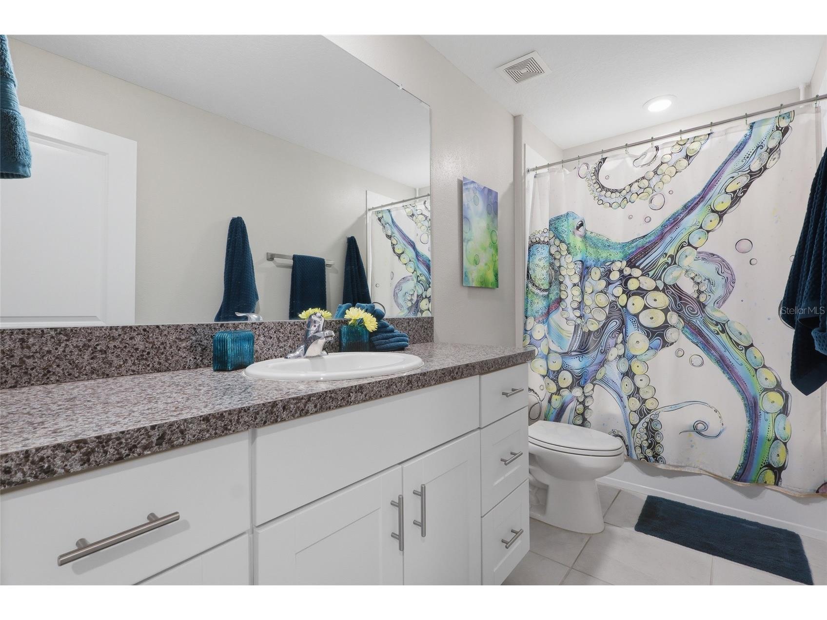 5052 White Chicory Drive Apollo Beach FL 33572 TB8512972 image26