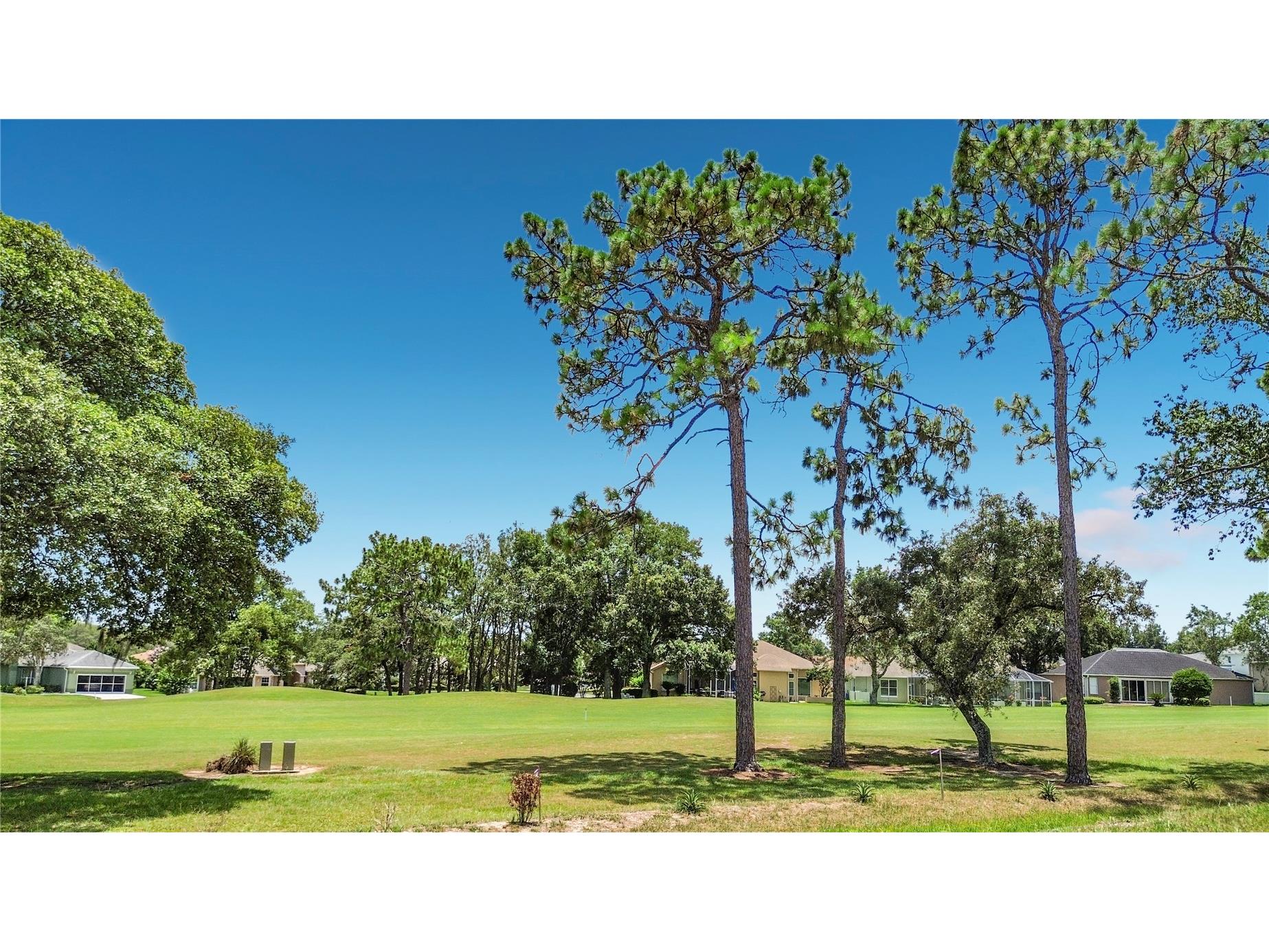 5053 N Triple Eagle Path Beverly Hills FL 34465 OM727257 image53