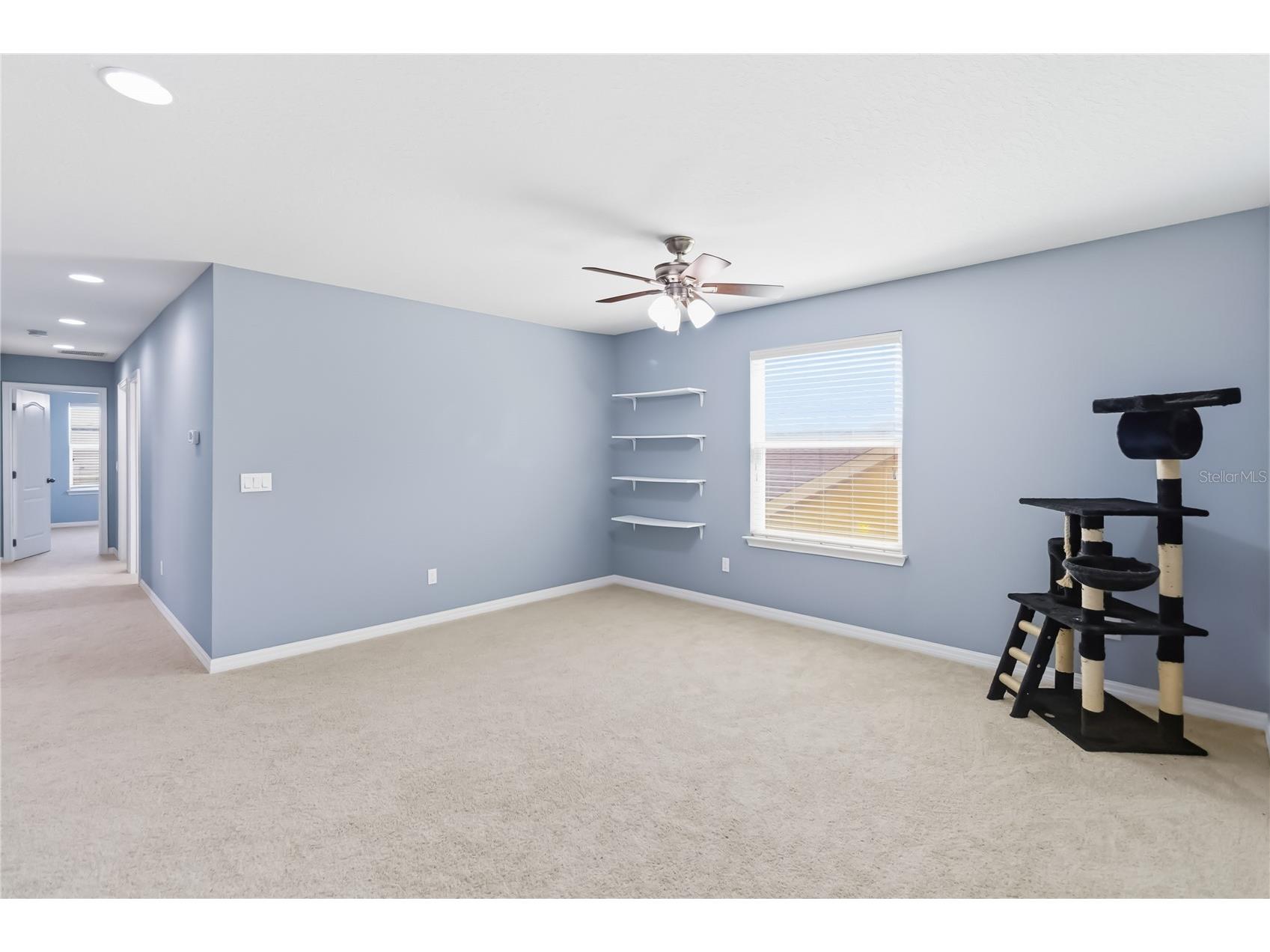 5053 Torchwood Drive Minneola FL 34715 O6401455 image18