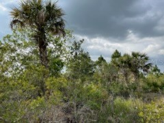 50530 Bermont Road Punta Gorda FL 33982 C7474596 image10