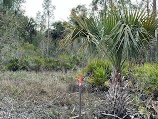 50530 Bermont Road Punta Gorda FL 33982 C7474596 image15