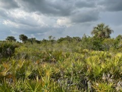 50530 Bermont Road Punta Gorda FL 33982 C7474596 image17