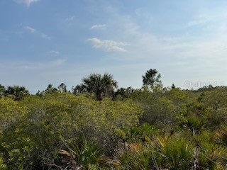 50530 Bermont Road Punta Gorda FL 33982 C7474596 image18