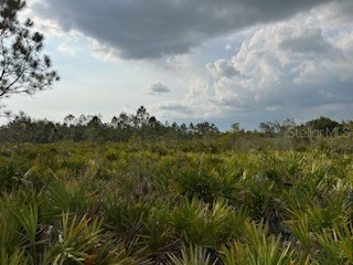 50530 Bermont Road Punta Gorda FL 33982 C7474596 image19