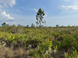 50530 Bermont Road Punta Gorda FL 33982 C7474596 image20