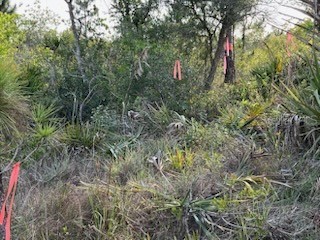 50530 Bermont Road Punta Gorda FL 33982 C7474596 image21