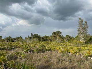 50530 Bermont Road Punta Gorda FL 33982 C7474596 image22