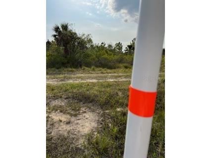 50530 Bermont Road Punta Gorda FL 33982 C7474596 image7