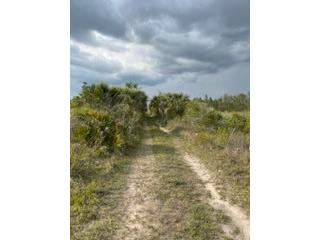 50530 Bermont Road Punta Gorda FL 33982 C7474596 image8