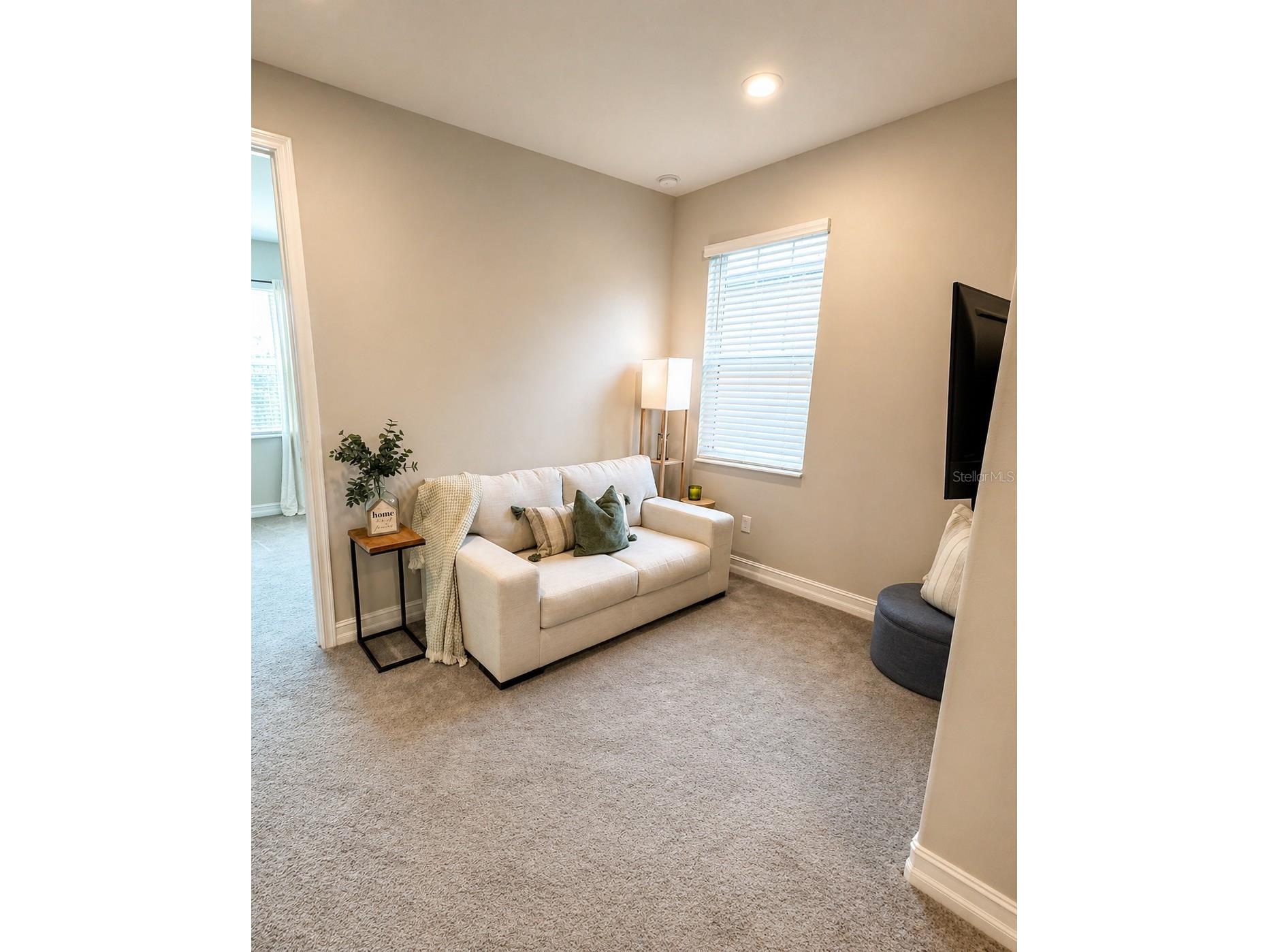 5054 San Martino Drive Wesley Chapel FL 33543 TB8503875 image19