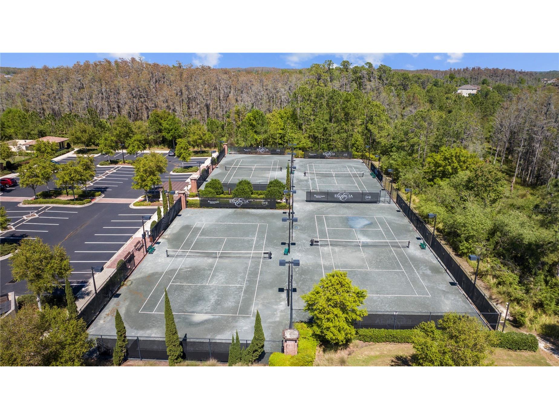 5054 San Martino Drive Wesley Chapel FL 33543 TB8503875 image49